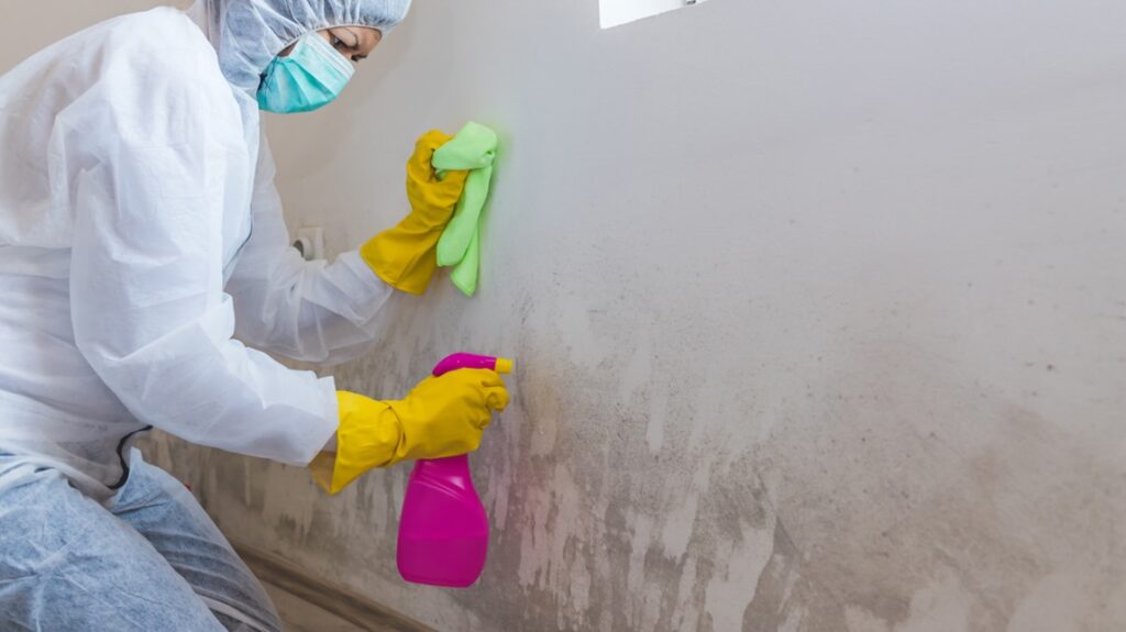 Cleaning and Removing Mold
