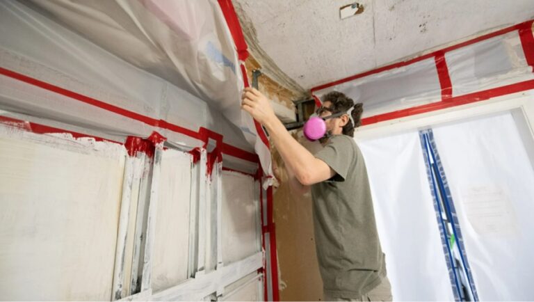 Mold Inspections
