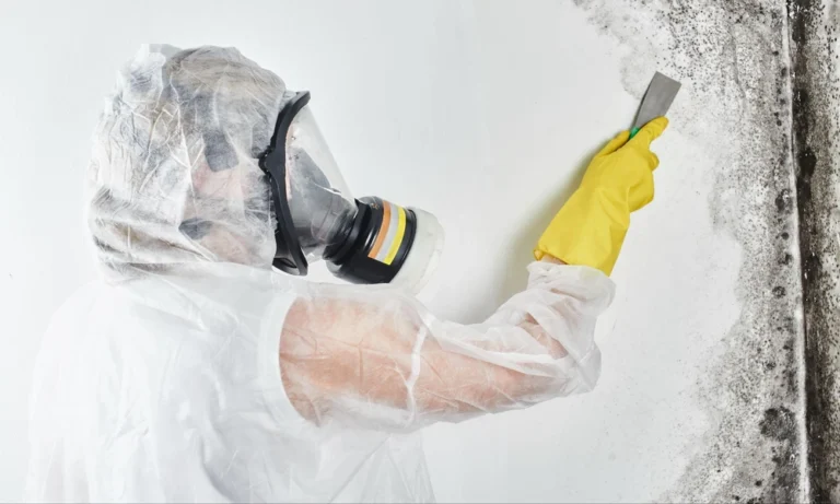 Why Indoor Air Quality Can Be Affected by Hidden Mould